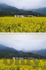599足球比分直播-599足球比分直播,球迷的实时战场与激情纽带