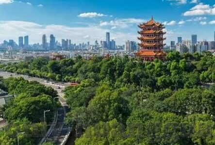 俄超比分直播足球-俄超烽火再燃,比分直播引领足球激情新篇章