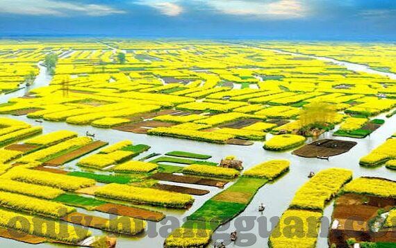 九游加速器下载-九游加速器下载，重塑游戏体验，获取极速体验