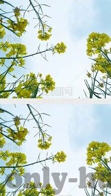 足球 比分 90-90分钟风云，足球比分的跌宕与永恒